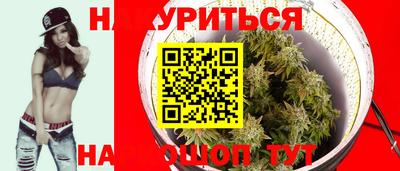 дживик Шелехов