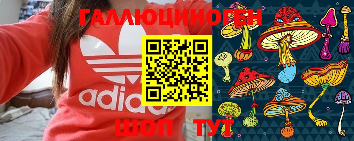 Псилоцибиновые грибы MAGIC MUSHROOMS Черногорск