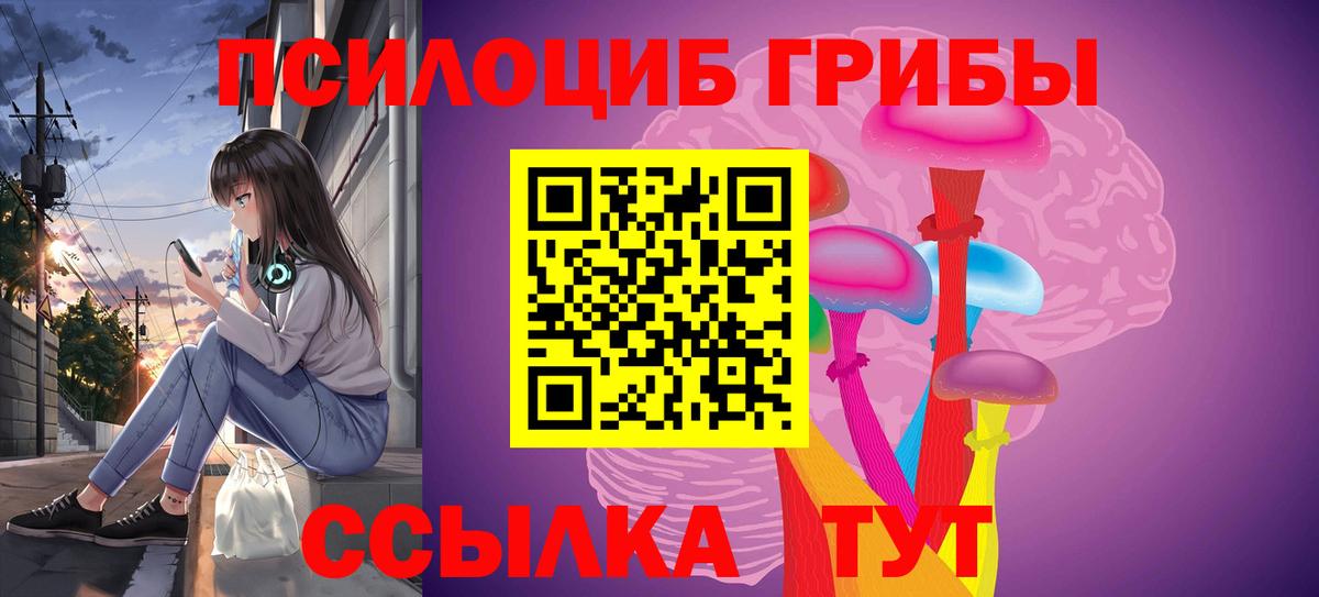 Псилоцибиновые грибы MAGIC MUSHROOMS  Галлюциногенные грибы мухоморы  Черногорск  Вход с VPN 